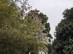 -团城山公园