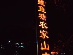 -鲤鱼塘农家山庄