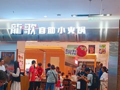 -龍歌自助小火锅(市南金茂湾店)