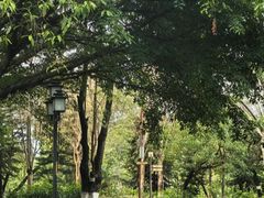 -映月湖公园
