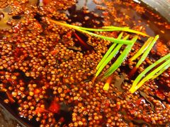 -岗上渣渣老火锅(两路口店)