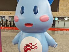 -杭州萧山国际机场