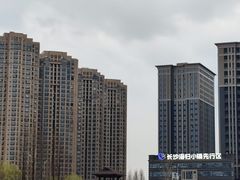 -洋湖国家湿地公园