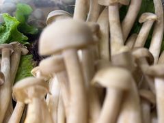 -享月汤皇·海鲜小火锅·聚会(曲江创意谷店)