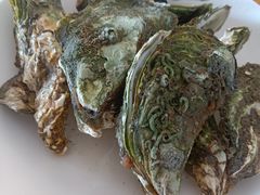 白灼生蚝-南蚝小贝海鲜特色餐厅(南澳岛店)