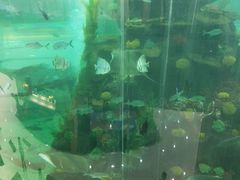 -鸿通城购物中心