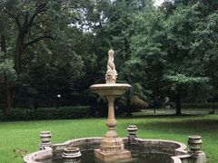 -叶叶菩提·晋福宫