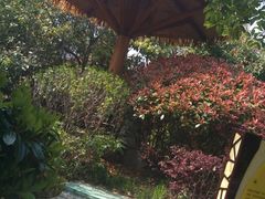 -深业半汤御泉庄温泉