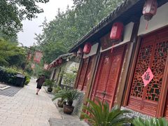 -合肥滨湖国家森林公园