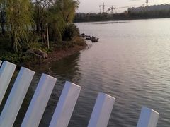 android_upload_pic-南翔镇银翔湖公园