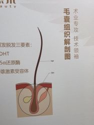 -熙朵美学植发·连锁品牌