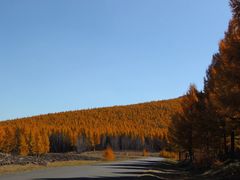 -塞罕坝国家级自然保护区