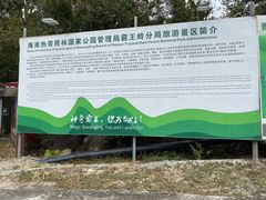 -海南霸王岭国家森林公园