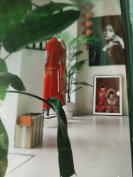 -施华洛婚纱摄影会所(范阳中路店)