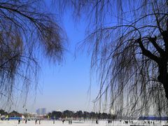 -长春市南湖公园