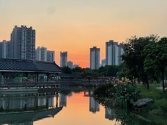 -飞来湖湿地公园