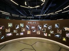 -香港科学馆