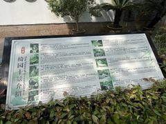 -绮园景区
