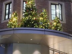 -中旅阿那亚九龙湖·公主酒店