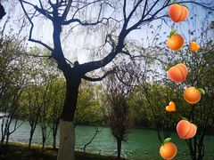 -天鹅湖体育公园