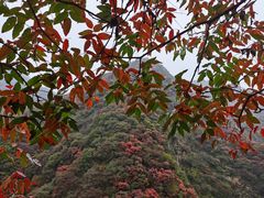 -西安金龙峡风景区