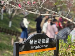 -扬州市茱萸湾风景区