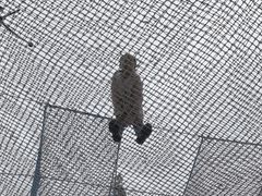 -桤木河湿地公园