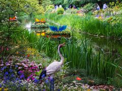 -上海共青森林公园