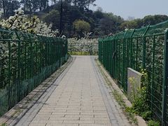 -树山生态村