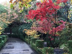 -乡党臊子面(丰庆公园店)