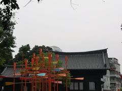 -荔湾湖公园