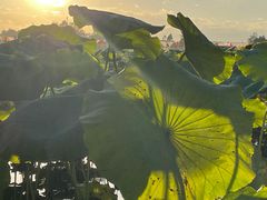 -繁毅农庄