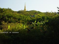 -西双版纳勐泐文化旅游区