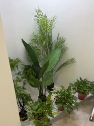 -VE小颜皮肤管理&科学美肤中心