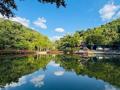 -西双版纳原始森林公园