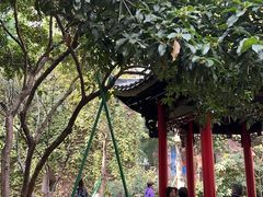 -浙江大学医学院附属第二医院(解放路院区)