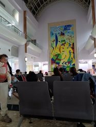 -上海交通大学医学院附属上海儿童医学中心(陆家嘴总院区)