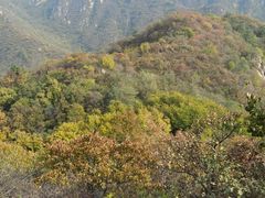 -大岭沟猕猴桃谷风景区
