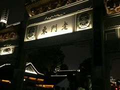 -两棵枇杷树