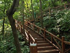 -大岭沟猕猴桃谷风景区