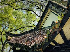 -严子陵钓台(富春江小三峡)