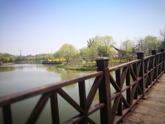 -自然谷恐龙园