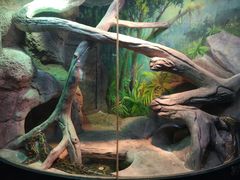 -福州罗源湾海洋世界旅游区