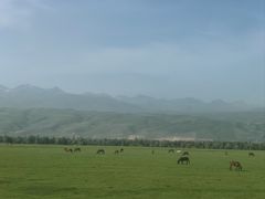 -新疆那拉提国家旅游度假区