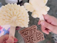 -西双版纳傣族园