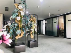 -北京炫美医疗美容