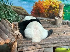 -青藏高原野生动物园