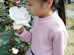 -人民公园(罗湖区)