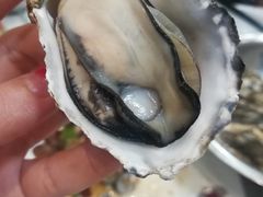 -宾朋海鲜特色美食餐厅·纯手工鲅鱼水饺(兴海路店)