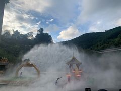 -西双版纳原始森林公园
